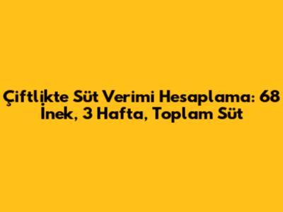 Çiftlikte Süt Verimi Hesaplama: 68 İnek, 3 Hafta, Toplam Süt