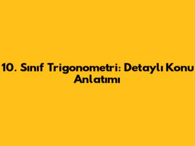 10. Sınıf Trigonometri: Detaylı Konu Anlatımı
