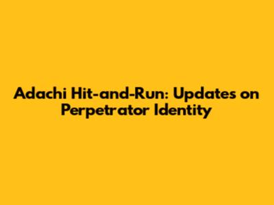 Adachi Hit-and-Run: Updates on Perpetrator Identity