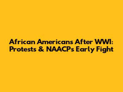 African Americans After WWI: Protests & NAACP's Early Fight