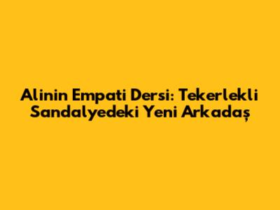 Ali'nin Empati Dersi: Tekerlekli Sandalyedeki Yeni Arkadaş