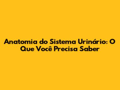Anatomia do Sistema Urinário: O Que Você Precisa Saber