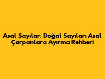 Asal Sayılar: Doğal Sayıları Asal Çarpanlara Ayırma Rehberi