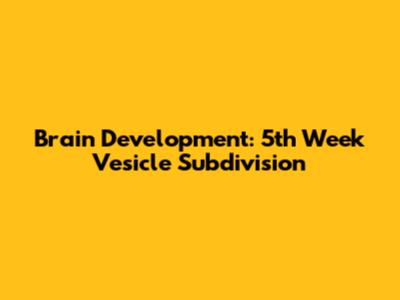 Brain Development: 5th Week Vesicle Subdivision