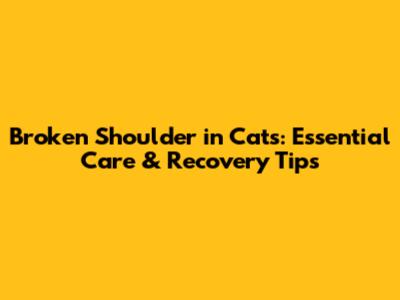 Broken Shoulder in Cats: Essential Care & Recovery Tips