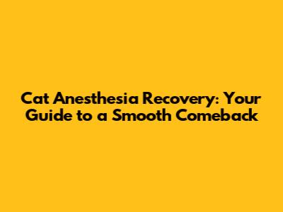 Cat Anesthesia Recovery: Your Guide to a Smooth Comeback