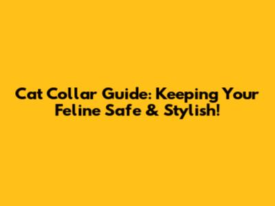 Cat Collar Guide: Keeping Your Feline Safe & Stylish!