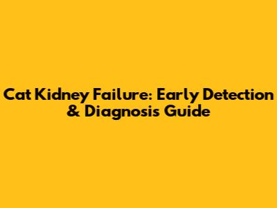 Cat Kidney Failure: Early Detection & Diagnosis Guide