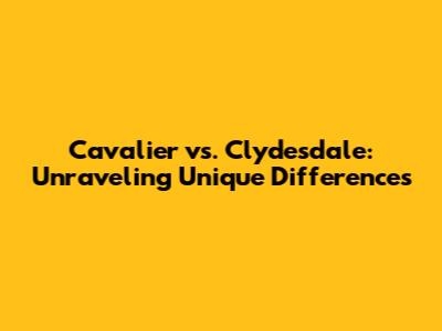 Cavalier vs. Clydesdale: Unraveling Unique Differences
