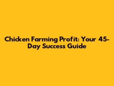 Chicken Farming Profit: Your 45-Day Success Guide