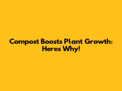 Compost Boosts Plant Growth: Here's Why!