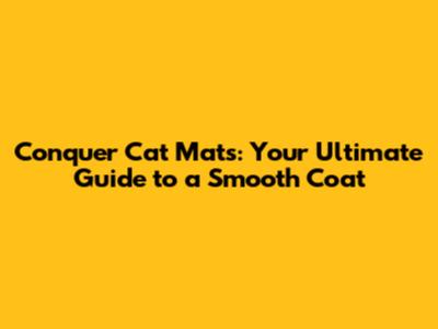 Conquer Cat Mats: Your Ultimate Guide to a Smooth Coat