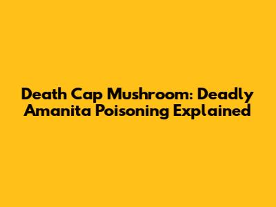 Death Cap Mushroom: Deadly Amanita Poisoning Explained