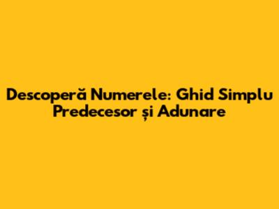 Descoperă Numerele: Ghid Simplu Predecesor și Adunare