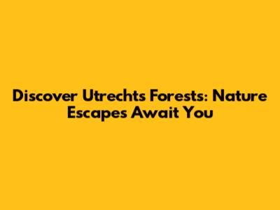 Discover Utrecht's Forests: Nature Escapes Await You