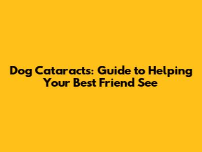 Dog Cataracts: Guide to Helping Your Best Friend See