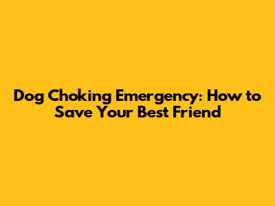 Dog Choking Emergency: How to Save Your Best Friend