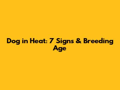 Dog in Heat: 7 Signs & Breeding Age