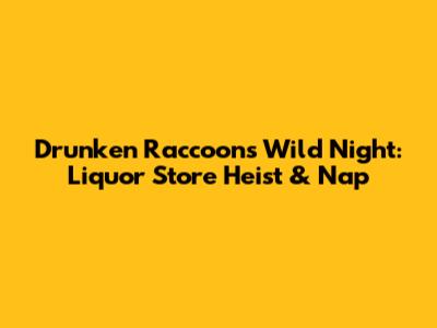Drunken Raccoon's Wild Night: Liquor Store Heist & Nap