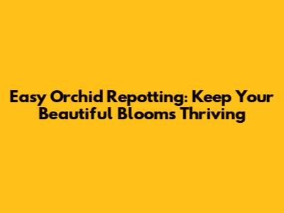 Easy Orchid Repotting: Keep Your Beautiful Blooms Thriving