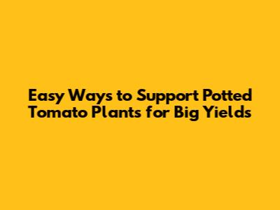Easy Ways to Support Potted Tomato Plants for Big Yields