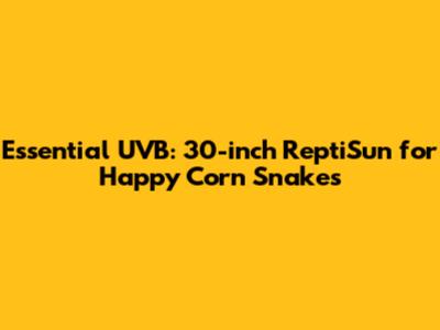 Essential UVB: 30-inch ReptiSun for Happy Corn Snakes