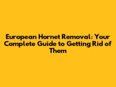European Hornet Removal: Your Complete Guide to Getting Rid of Them