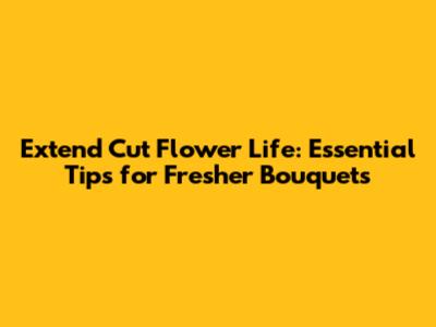 Extend Cut Flower Life: Essential Tips for Fresher Bouquets
