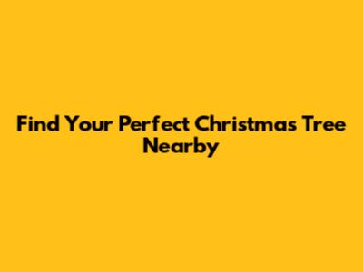 Find Your Perfect Christmas Tree Nearby