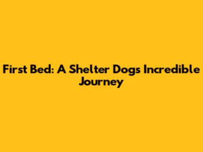 First Bed: A Shelter Dog's Incredible Journey