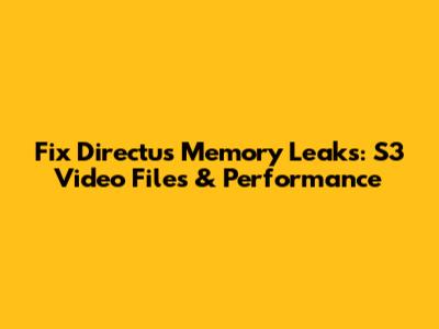 Fix Directus Memory Leaks: S3 Video Files & Performance