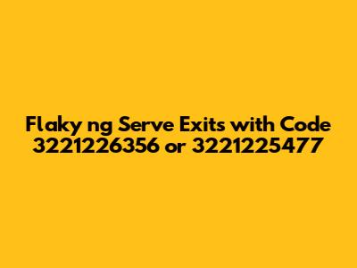 Flaky ng Serve Exits with Code 3221226356 or 3221225477