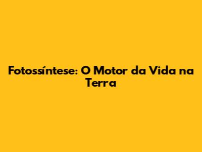 Fotossíntese: O Motor da Vida na Terra