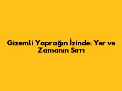 Gizemli Yaprağın İzinde: Yer ve Zamanın Sırrı