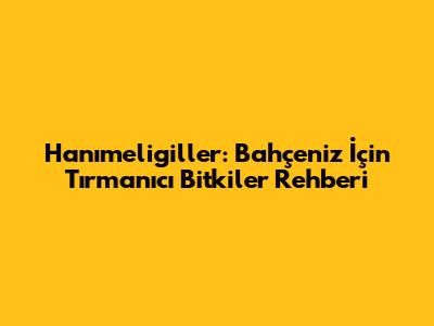 Hanımeligiller: Bahçeniz İçin Tırmanıcı Bitkiler Rehberi