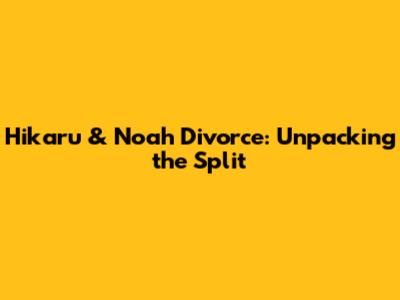 Hikaru & Noah Divorce: Unpacking the Split