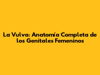 La Vulva: Anatomía Completa de los Genitales Femeninos