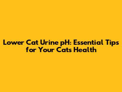 Lower Cat Urine pH: Essential Tips for Your Cat's Health
