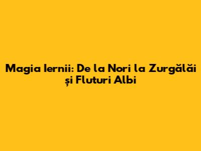 Magia Iernii: De la Nori la Zurgălăi și Fluturi Albi