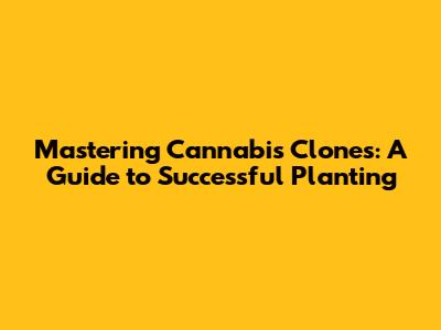 Mastering Cannabis Clones: A Guide to Successful Planting