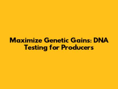 Maximize Genetic Gains: DNA Testing for Producers