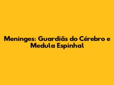Meninges: Guardiãs do Cérebro e Medula Espinhal