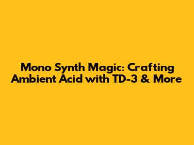 Mono Synth Magic: Crafting Ambient Acid with TD-3 & More