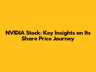 NVIDIA Stock: Key Insights on Its Share Price Journey