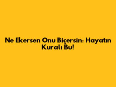Ne Ekersen Onu Biçersin: Hayatın Kuralı Bu!