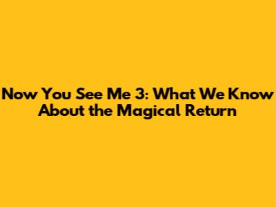 Now You See Me 3: What We Know About the Magical Return