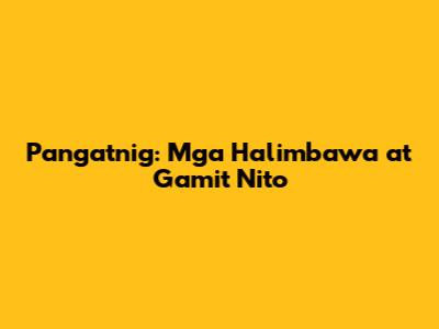 Pangatnig: Mga Halimbawa at Gamit Nito