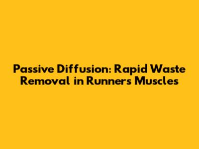 Passive Diffusion: Rapid Waste Removal in Runner's Muscles