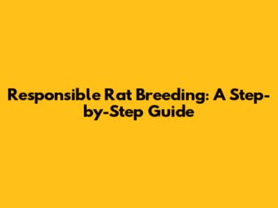 Responsible Rat Breeding: A Step-by-Step Guide