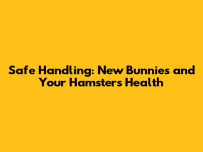 Safe Handling: New Bunnies and Your Hamster's Health